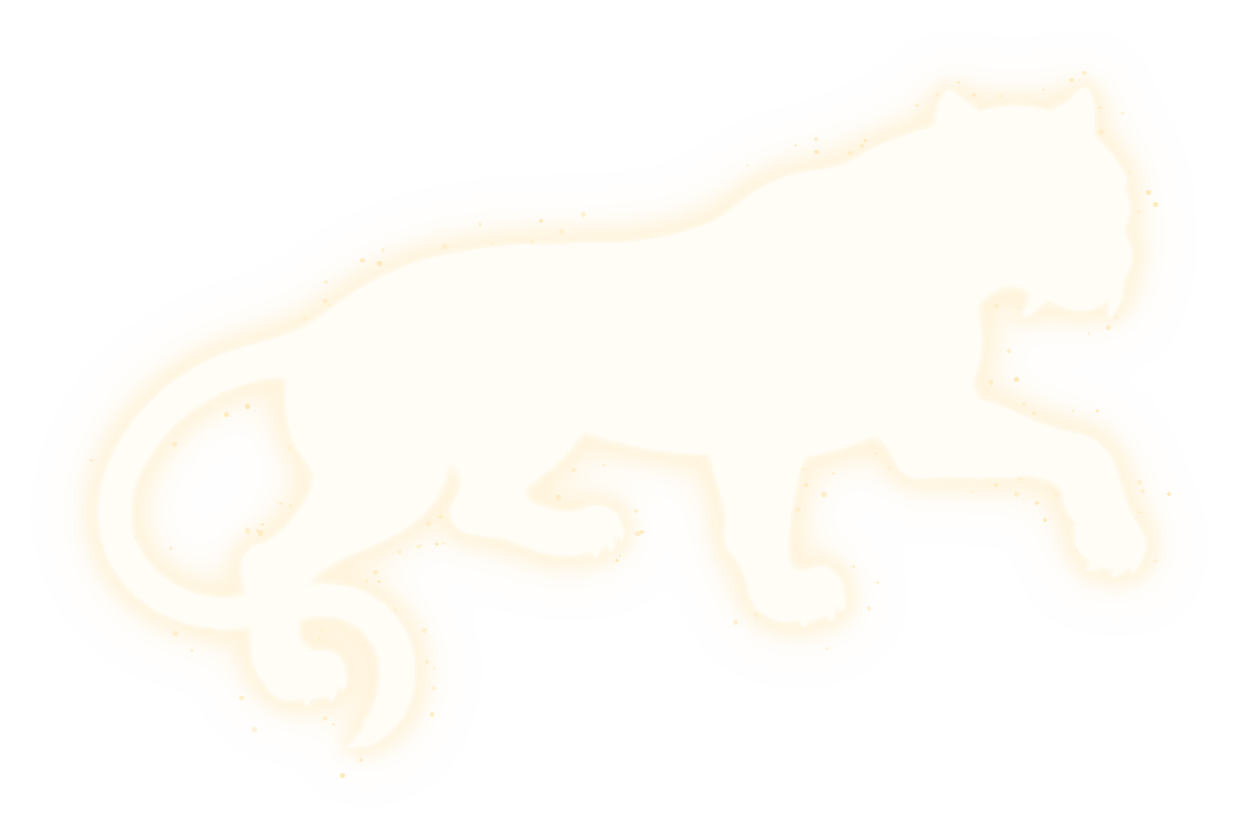 黑虎